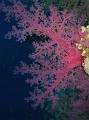 Unter_Wasser (18)